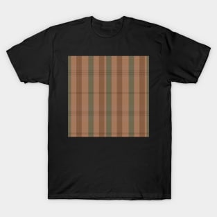 Light Academia Aesthetic Artair 2 Hand Drawn Textured Plaid Pattern T-Shirt